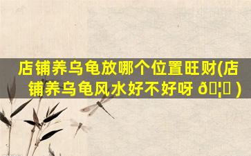 店铺养乌龟放哪个位置旺财(店铺养乌龟风水好不好呀 🦅 )